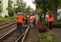 KVB Bahn entgleist Koeln Suelz Hermeskeilerstr Am Beethovenpark P110